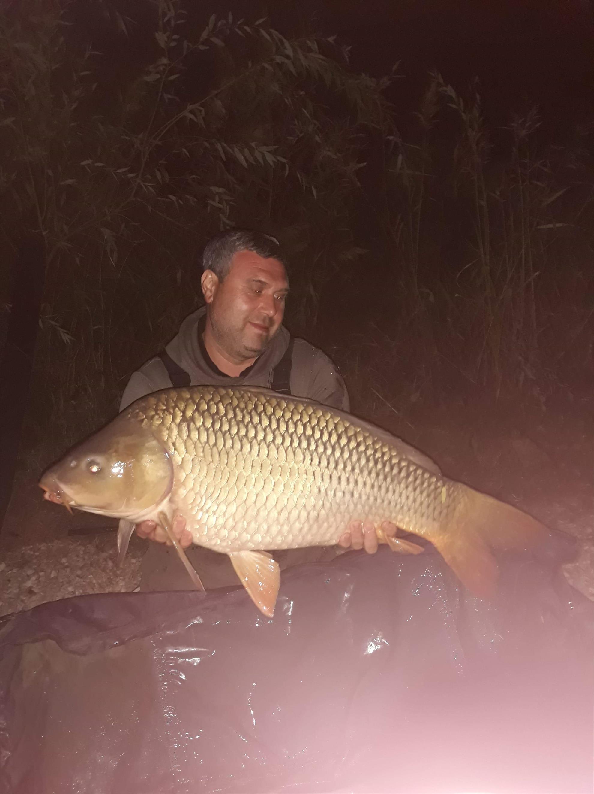 Varlaam 2018 oct - received527206814414342.jpeg